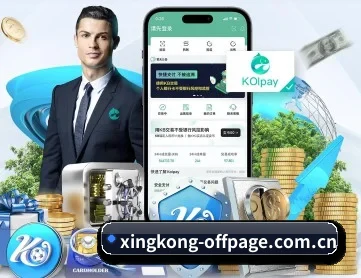 星空网页版官网 APP